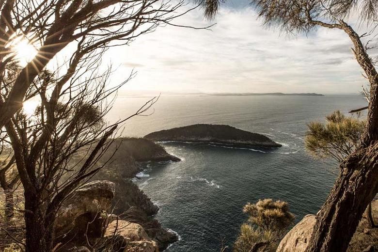 Gerbang Antartika Australia, Tasmania, menjadi lebih panas daripada utara tropis